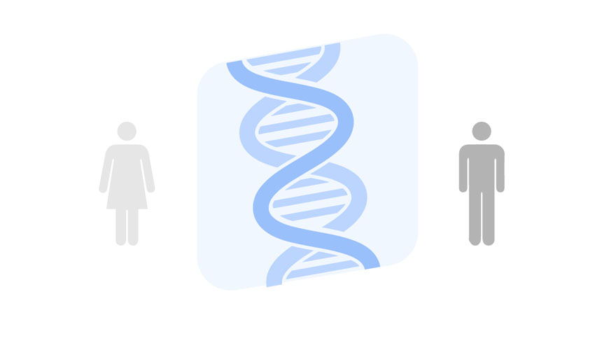 Esclerosis Múltiple